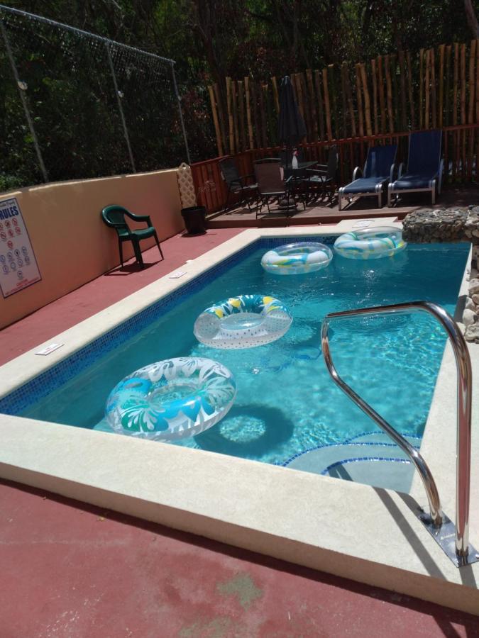 Caribbean Dream Cd5 Apartment Gros Islet Exterior photo
